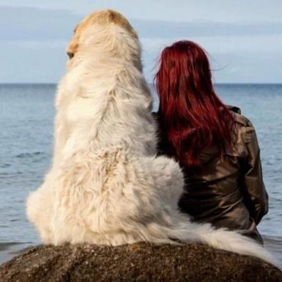 Cães e tutores podem ter traços de personalidade semelhantes