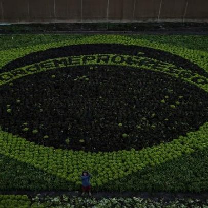 Agricultor recria bandeira do Brasil com plantação de hortaliças em Brumadinho