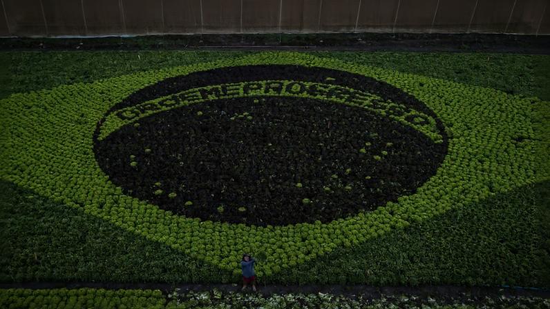 Além da bandeira do Brasil o desenho também conta com o nome de alguém especial para Djalma, seu neto José Augusto
