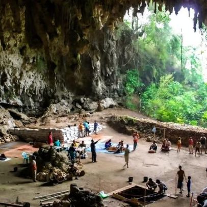 Hobbits podem ter sobrevivido com restos deixados por dragões de Komodo