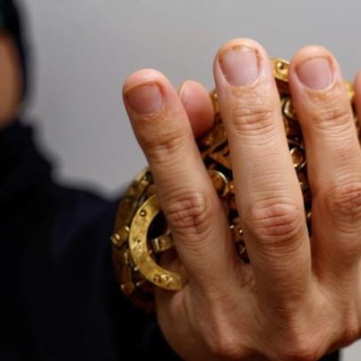 Homem dedica a vida à salvação de abelhas em Singapura