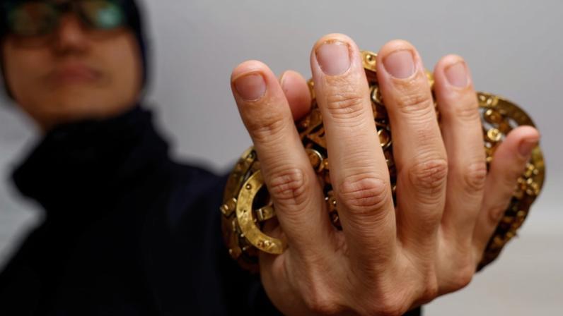 Homem dedica a vida à salvação de abelhas em Singapura