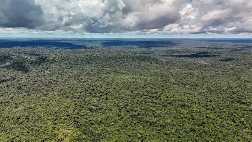 Amazônia. — Foto: © Rafa Neddermeyer/Agência Brasil