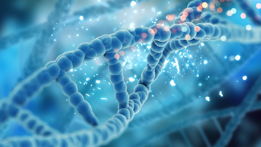 Imagem ilustrativa do DNA humano - Metrópoles