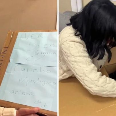 Polícia investiga mulher por envio de cachorro morto a vereadora no RS
