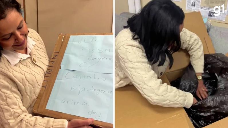 Vereadora recebeu o cachorro morto em entrega na Câmara de Novo Hamburgo