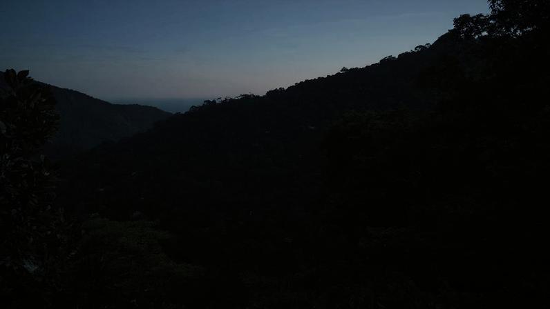 Vista da mata atlântica na Floresta da Tijuca, no Rio de Janeiro