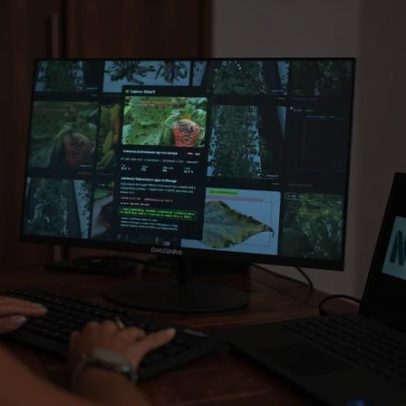 IA impulsiona o agronegócio com prevenção de perdas e aumento de receita