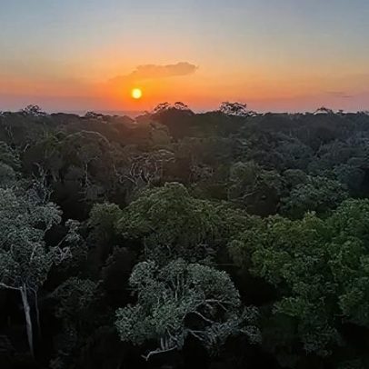 Plano de Transformação Ecológica eleva recursos do Fundo Clima 316 vezes