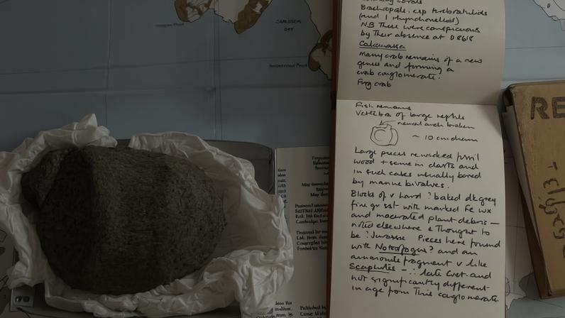 A identificação do fóssil perdido foi feita com a ajuda do conhecimento de pesquisadores do Serviço Antártico Britânico e das anotações do geólogo que descobriu o osso há quase 40 anos