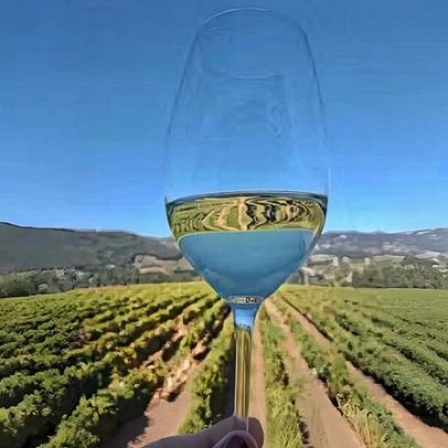 Terroir: explicação clara da palavra-chave do vinho, sem rodeios