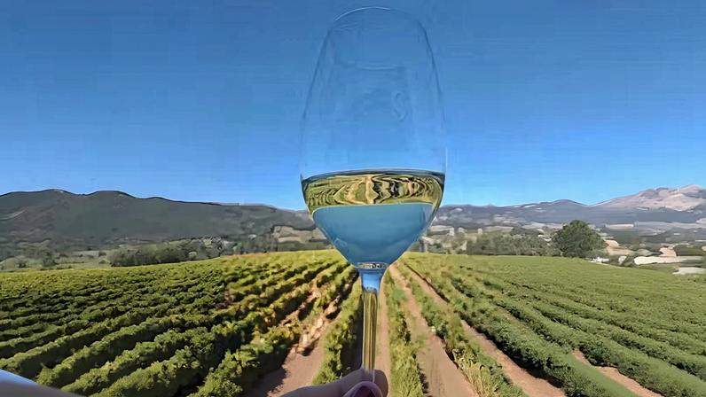 Terroir: explicação clara da palavra-chave do vinho, sem rodeios
