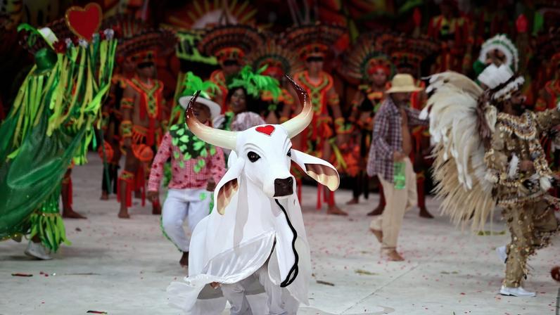 Torcedores transformam toada do Boi Garantido em provocação à Noruega