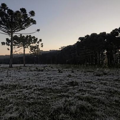Serra de Santa Catarina registra -5,7°C; 19 cidades ficam abaixo de 0°C
