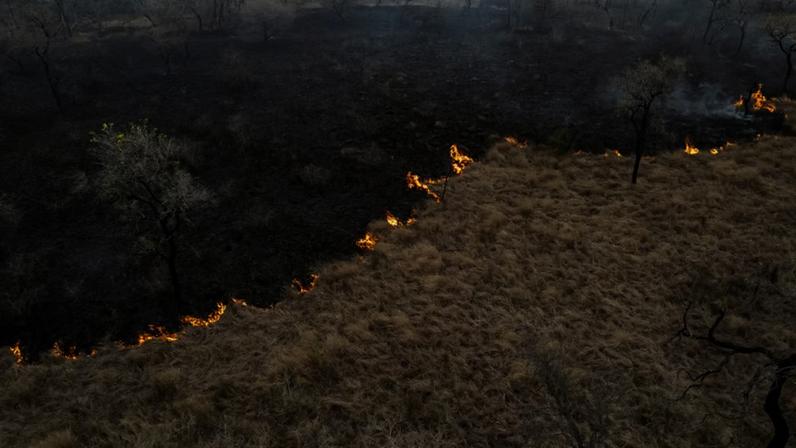Incêndio avança sobre vegetação — Foto: Picture alliance/Getty Images