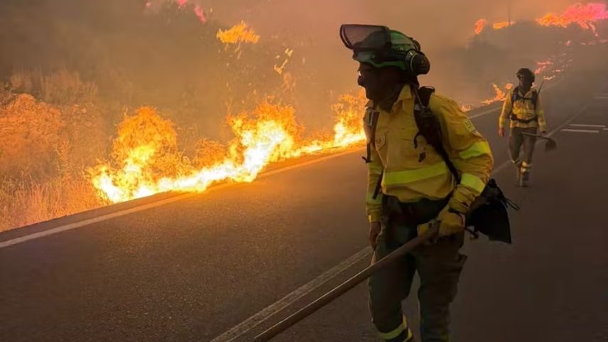 Incêndio florestal deixa 11 mortos em meio à onda de calor na Espanha