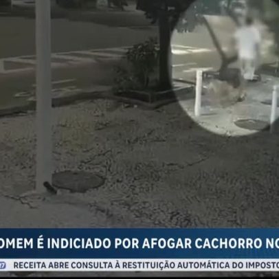 Homem é denunciado por matar o próprio cão afogado na Copacabana, RJ