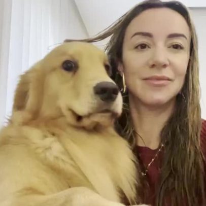 Frio afeta o xixi dos pets e o comportamento em casa