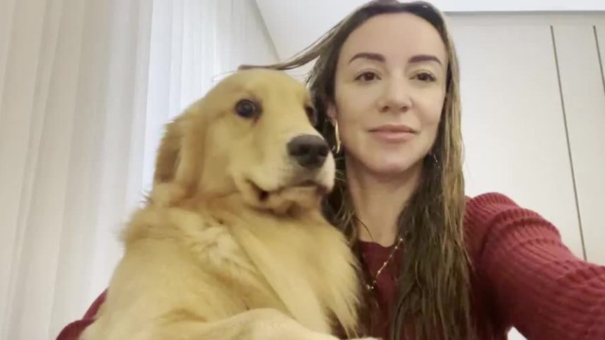 Frio afeta o xixi dos pets e o comportamento em casa
