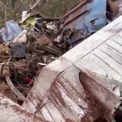 Queda de avião no MS deixa piloto e cientista alemã entre as vítimas