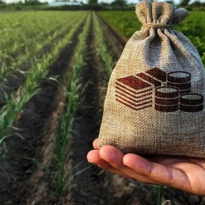 Produtor rural consegue prorrogação de dívida e redução de juros