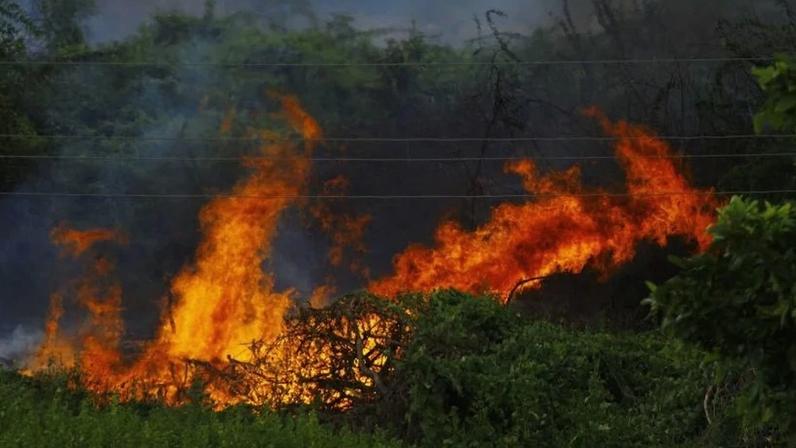 Região enfrenta onda de calor; na foto, imagem ilustrativa de incêndio florestal