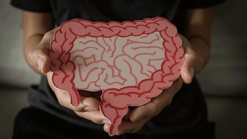 A disbiose é um desequilíbrio da microbiota intestinal, conjunto de trilhões de microrganismos que vivem naturalmente no intestino