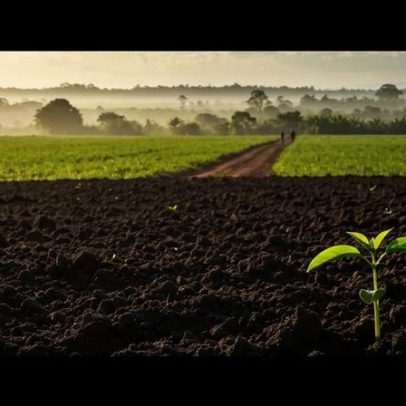 Incra oficializa aquisição de fazenda de 10 mil hectares para assentamento no Pará
