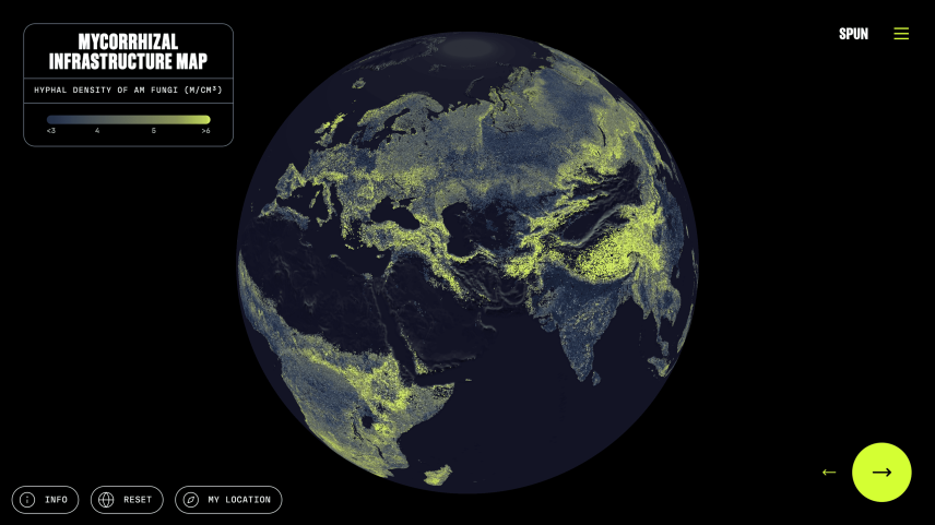 Mapa completo revela rede global de fungos sob os pés