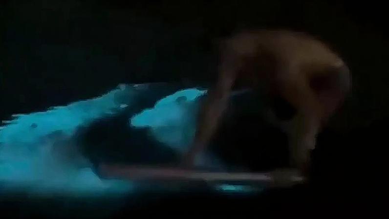 Mar na Praia de Piratininga brilha por fenômeno de bioluminescência.