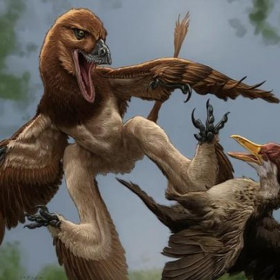 Fóssil de dinossauro com quatro asas revela mortes há 120 milhões de anos