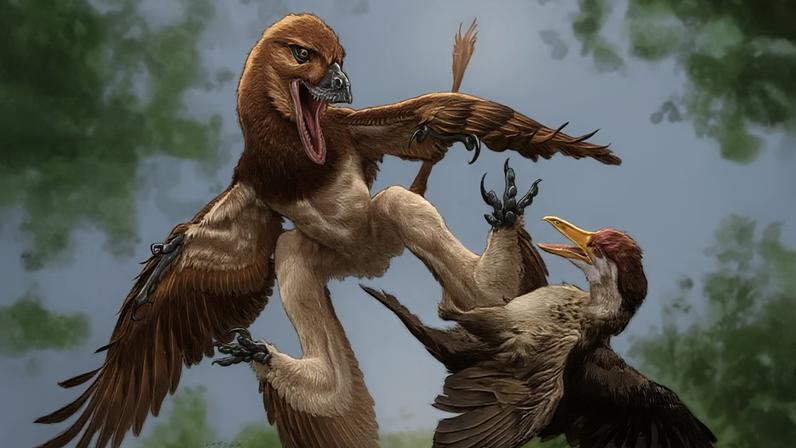 O novo microraptor “Jian changmaensis” (à esquerda) ataca a ave primitiva “Gansus yumenensis” (à direita) no que hoje é a Bacia de Changma, no noroeste da China