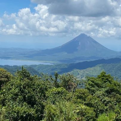 Vida selvagem de montanhas tropicais em risco por mudança climática, aponta estudo