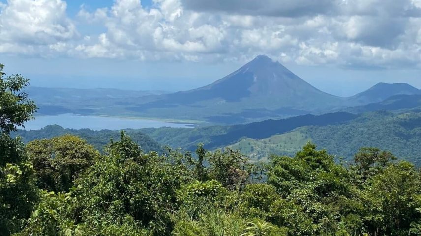 Vida selvagem de montanhas tropicais em risco por mudança climática, aponta estudo
