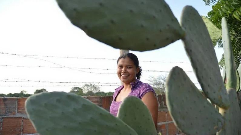 Levantamento se dedica a analisar o papel feminino em 6 cadeias produtivas do agronegócio: pecuária, cacau, citros, soja, café e cana-de-açúcar