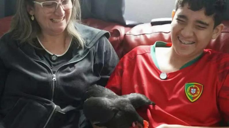 'Pops' foi adotada como animal de apoio emocional e passou a acompanhar Nicolas em diferentes momentos do dia