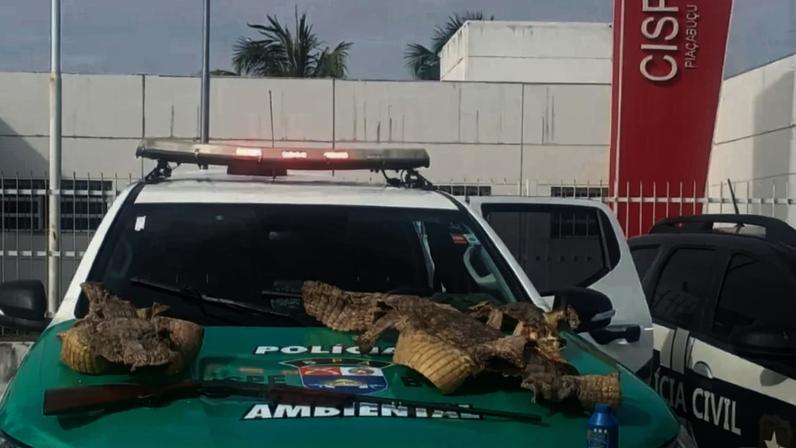 Pele de Jacaré e espingarda são apreendidos em Alagoas