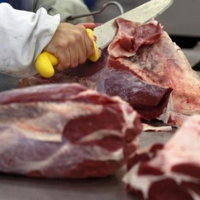 Brasil diz que avança para retomar exportações de aves e mel à União Europeia