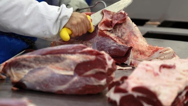Brasil diz que avança para retomar exportações de aves e mel à União Europeia