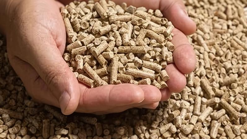 Ração animal brasileira é um dos produtos que terão destaque nos novos mercados