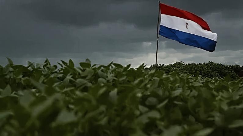 Paraguai está entre os dez maiores exportadores de soja do mundo