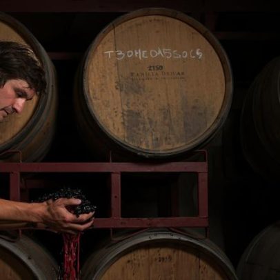 Revolução das misturas: terroir sul-americano ganha expressão com várias uvas