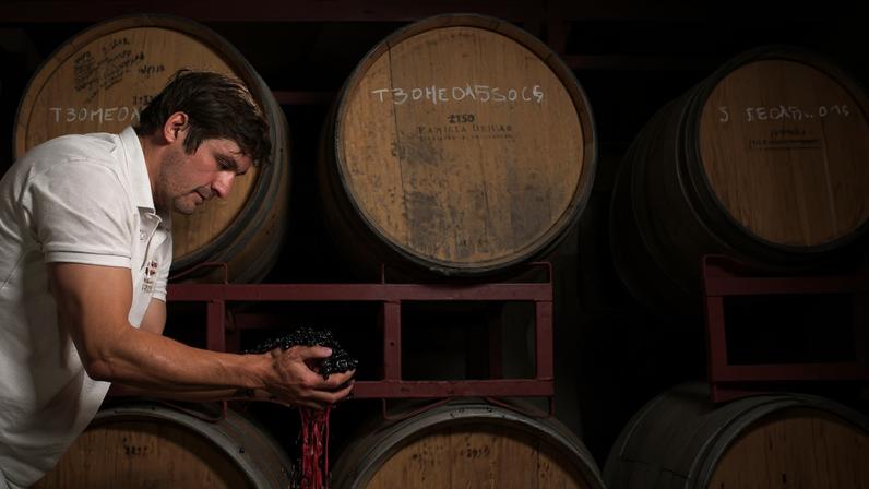 Revolução das misturas: terroir sul-americano ganha expressão com várias uvas