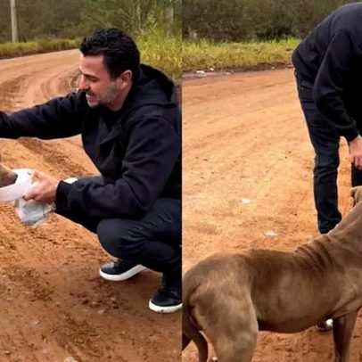 Pitbull abandonado é resgatado após dias enfrentando frio no RS