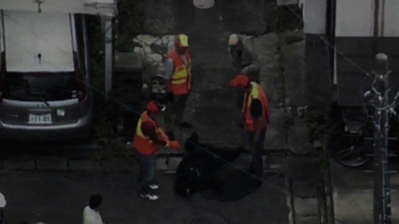 Urso capturado em Tóquio em junho.