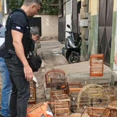Menino de 8 anos é resgatado de ambiente insalubre; mãe é presa no ES