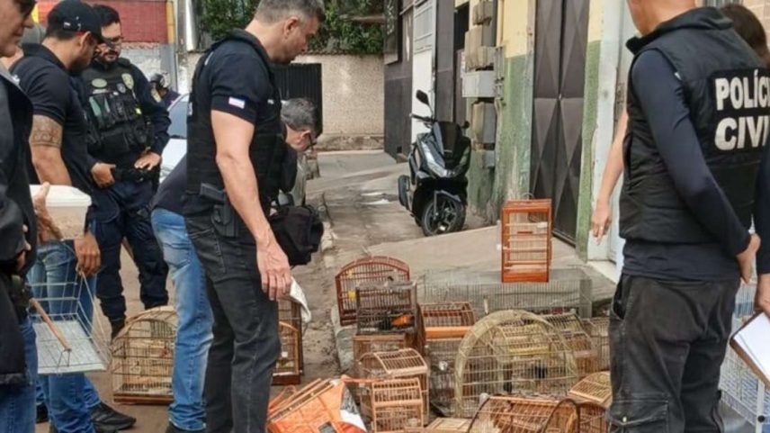 Imóvel foi isolado até a retirada de todos os animais