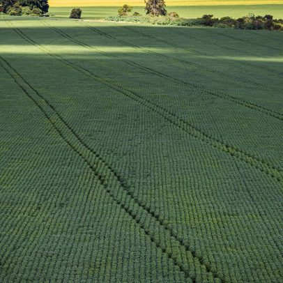Senado aprova plano com R$ 10 bi para ampliar produção de fertilizantes