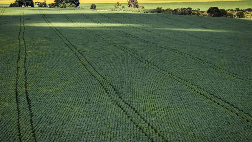 Senado aprova plano com R$ 10 bi para ampliar produção de fertilizantes