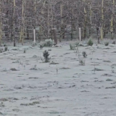 SC registra -9,1 °C e tem uma das menores temperaturas do ano